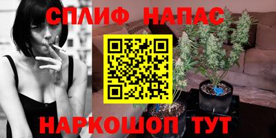 сатива Краснодар
