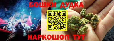 сатива Краснодар
