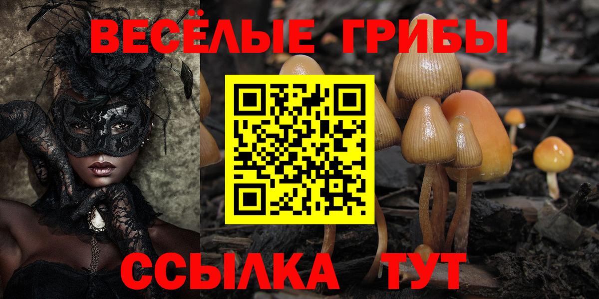 Псилоцибиновые грибы мицелий Каменка