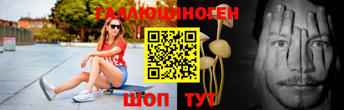 Каменка  Псилоцибиновые грибы мицелий  Вход с VPN 